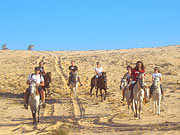 Excursion à cheval dans les dunes de Canoa Quebrada