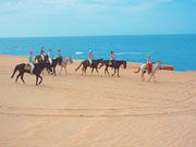 Promenades à cheval inoubliables sur la plage de Canoa Quebrada