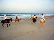 Cavalcade sur la plage au coucher du soleil