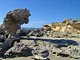 Plage de Pontal de Macei�: la pierre du chien