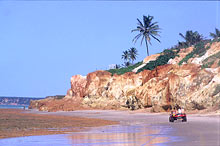 Excursion en buggy sur la plage, de Canoa Quebrada jusqu
