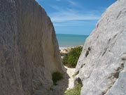 Fal&eacute;sias na praia de Quixaba