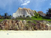 fal&eacute;sias e areia branca
