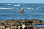 A Pedra do Coelho, praia de Pontal de Maceió