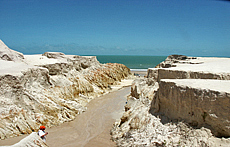 Natureza da regiao