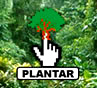 Plante voc&ecirc; um arvore na Mata Atl&acirc;ntica