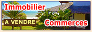 Immobilier et commerces &agrave; vendre, &agrave; louer