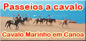 Passeio a cavalo em Canoa com Cavalo Marinho